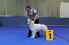  - Luxembourg Dog Show